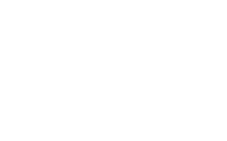 lastic-dena-scaled